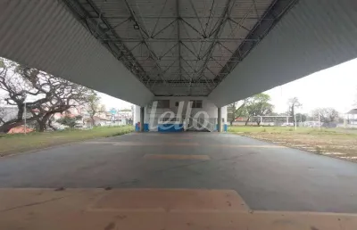 Terreno comercial para alugar na rua alexandre aliperti, --, vila água funda, são paulo, 9967 m2 por r$ 135.000