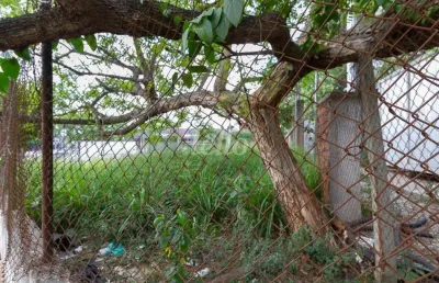 Terreno comercial para alugar na rua puréus, --, jardim guedala, são paulo, 650 m2 por r$ 15.000