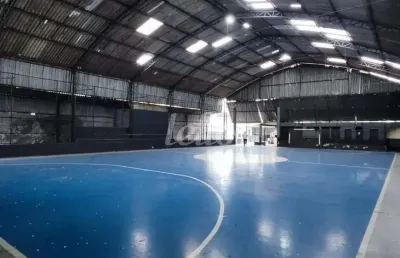 Barracão / galpão / depósito para alugar na rua aperibé, --, parque edu chaves, são paulo, 730 m2 por r$ 14.900