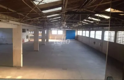 Barracão / galpão / depósito para alugar na rua coronel mário de azevedo, --, jardim pereira leite, são paulo, 3640 m2 por r$ 85.000