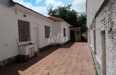 Casa comercial com 1 sala para alugar na avenida coronel sezefredo fagundes, --, tucuruvi, são paulo, 90 m2 por r$ 2.900