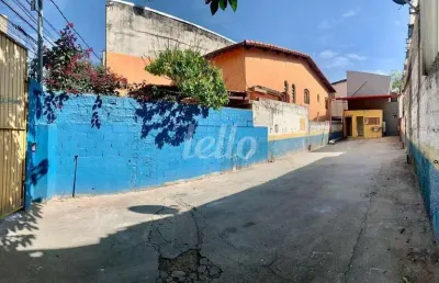 Terreno comercial para alugar na rua andré campale, --, parada inglesa, são paulo, 156 m2 por r$ 3.500