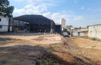 Barracão / galpão / depósito para alugar na rua roque de paula monteiro, --, jaçanã, são paulo, 1500 m2 por r$ 13.000