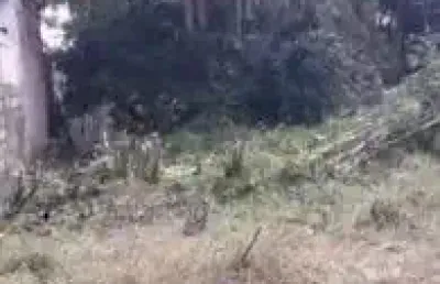 Terreno localizado no bairro bopiranga, em itanhaém.
