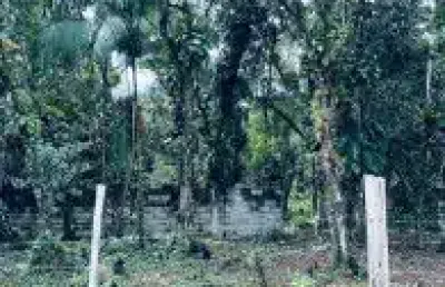 Terreno de chácara no bairro chácara palmeiras, em itanhaém - sendo lado serra, em rua de terra.