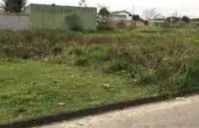Excelente terreno localizado no bairro jardim regina - lado praia, em rua calçada.