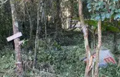 Terreno no balneário gaivota, em itanhaém, localizado no lado serra à 100 metros da rodovia, em rua de terra.