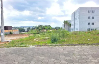 Terreno à venda na Rua Waldemar Zanoni, Vila Floresta, Criciúma