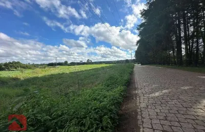 Terreno à venda, 236 m² por r$ 395.000,00 - rodeiozinho - balsa nova/pr