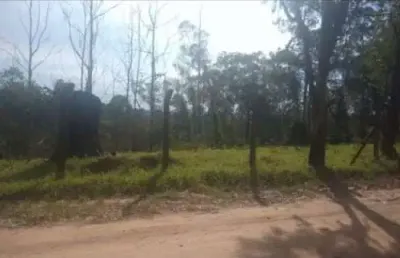 Chácara / sítio à venda na Rua Antônio Pires Dias, 8967, Pau Arcado, Campo Limpo Paulista