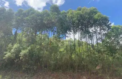 Terreno, à venda em santa maria do herval, vila seger