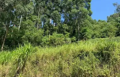 Chácara / sítio à venda na Rua Dois Irmãos, Centro, Morro Reuter