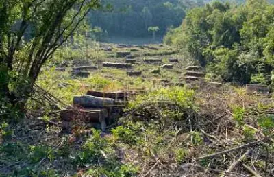 Terreno à venda na Avenida Sapiranga, Industrial, Dois Irmãos