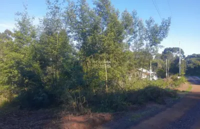 Terreno à venda em santa maria do herval, boa vista do herval, 2800m²