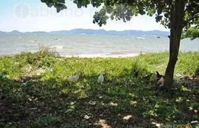 Terreno à venda, 430 m² por r$ 954.000,00 - barreiros - são josé/sc