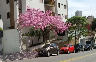Apartamento com 3 dormitórios à venda, 118 m² por r$ 795.000,00 - barcelona - são caetano do sul/sp
