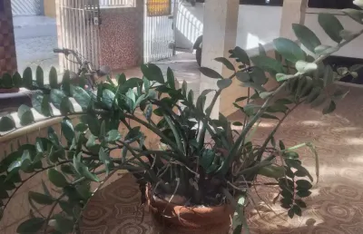 Vendo casa independente,  centro miguel couto, nova iguaçu/rj.