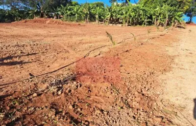 Chácara / sítio com 1 quarto à venda na Não Informado, 1, Área Rural de Apucarana, Apucarana