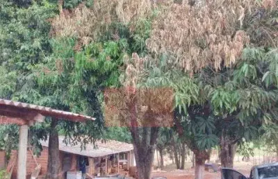 Chácara / sítio com 1 quarto à venda na Estrada Km11, km11, Zona Rural, Alvorada do Sul