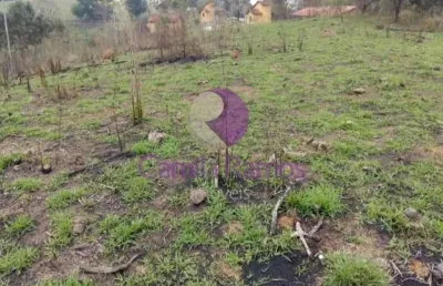 Terreno comercial à venda no Centro, Santa Isabel 