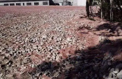 Lote/terreno para venda e locação, ipelândia - suzano