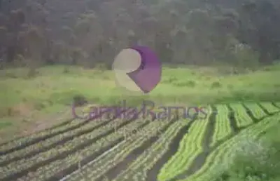 Área comercial à venda, vila aparecida, suzano - ar0023.