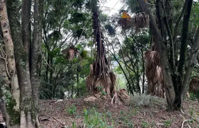 Terreno em condomínio para venda em barueri, residencial tamboré