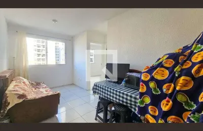 Apartamento à venda - campo grande, 2 quartos,  42 m2