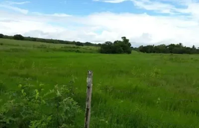 Fazenda à venda na praça da bandeira, itapicuru, centro, itapicuru por r$ 1.400.000