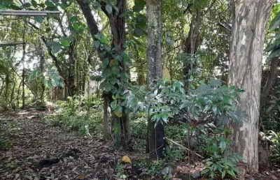 Terreno à venda, 1476 m² por r$ 1.500.000 - são luís - volta redonda/rj