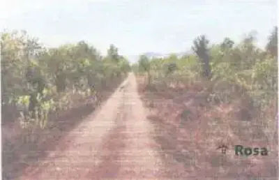 Fazenda para venda, estrada do coxipó do ouro, santo antonio do leveger - fa7235
