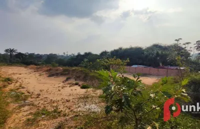 Terreno à venda no tarumã  perfeito para construção de galpão comercial, industrial e logístico.