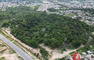 Terreno à venda, 165500 m² por r$ 74.000.000 - av. das flores - manaus/am