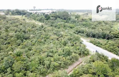 Terreno à venda, na am 010 km 13, 37864 m² por r$ 2.300.000 - novo israel - manaus/am