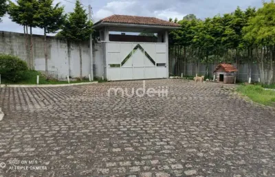 Chácara / sítio com 4 quartos à venda na Rua Professor Júlio Carvalho Gomes, Roça Velha, São José dos Pinhais