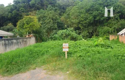 Terreno à venda, 562 m² por r$ 99.999,00 - jardim paraíso mineral - campo largo/pr