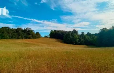 Área à venda, 96800 m² por r$ 2.400.000,00 - rondinha - campo largo/pr