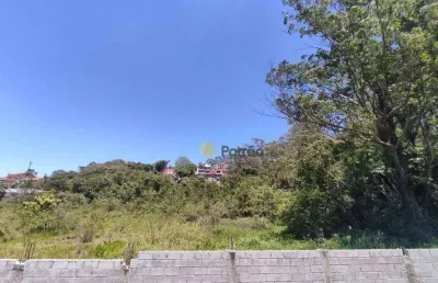 Terreno, 8692 m² - venda por r$ 4.600.000,00 ou aluguel por r$ 20.500,00/mês - cooperativa - são bernardo do campo/sp