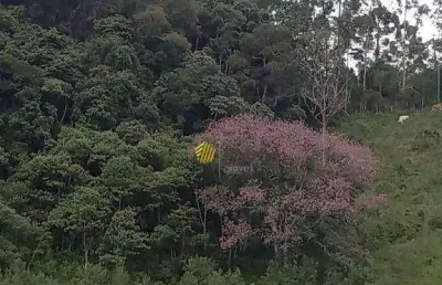 Área à venda, 41000 m² por r$ 1.700.000,00 - da lagoa - joanópolis/sp
