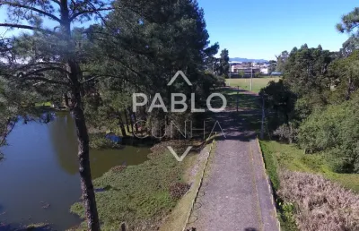 Terreno comercial à venda no Ouro Fino, São José dos Pinhais 