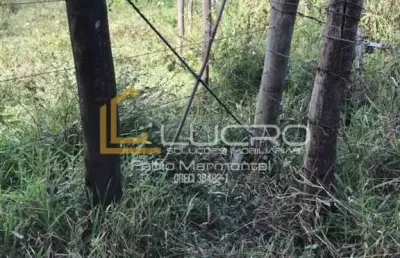 Área com 20.222,64m2. rodovia marechal rondon km 357 ao 355 sentido  leste.