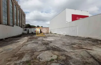 Terreno comercial para alugar na Vila Falcão, Bauru 