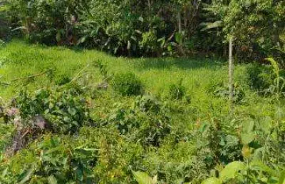 Venda de terreno no jd nova cotia, próximo ao km 39 da rodovia raposo tavares, em cotia/sp, ótima oportunidade de área total de 1.410m². consulte-nos.