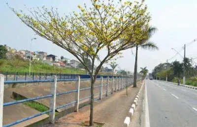 Locação de área comercial em arujá/sp, excelente oportunidade de investimento com 7.000m², em um dos pontos estratégicos da cidade! consulte-nos.