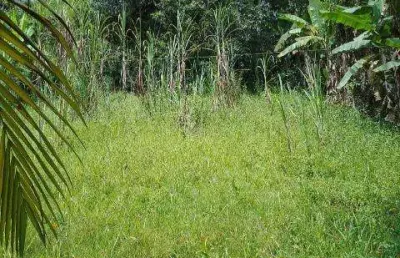 Venda de terreno no chácaras copaco, em arujá/sp, oportunidade de investimento com 1.000m² e possibilidade de financiamento imobiliário. consulte-nos.