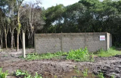 Terreno com 489,70 m2 parcialmente limpo e murado no retiro das caravelas - cananéia / sp