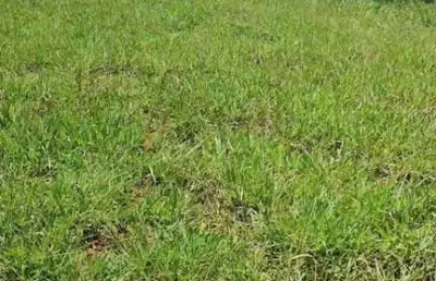 Lote / terreno de condomínio para vender no bairro portal serra azul em mateus leme