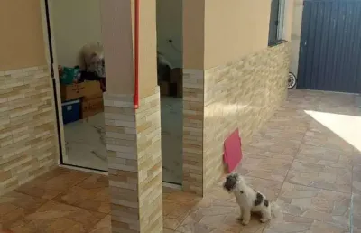 Casa para vender com 02 quartos no bairro sapucaias 2 em contagem