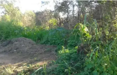 Terreno à venda na rua guarapina, bananal (ponta negra), maricá, 7128 m2 por r$ 2.000.000