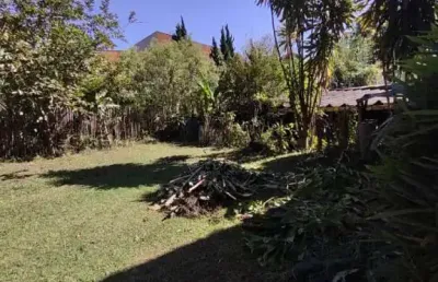 Terreno plano 10x50  no jardim viana, próximo av. do morumbi